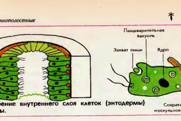 Кракен черный сайт