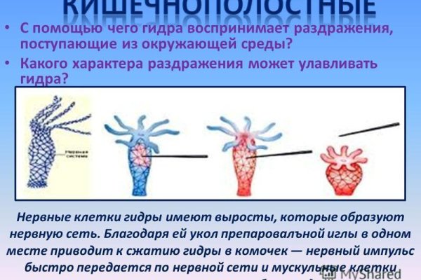 Даркнет зеркало