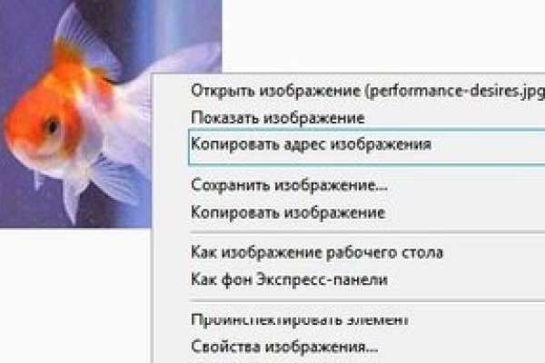 Kraken россия
